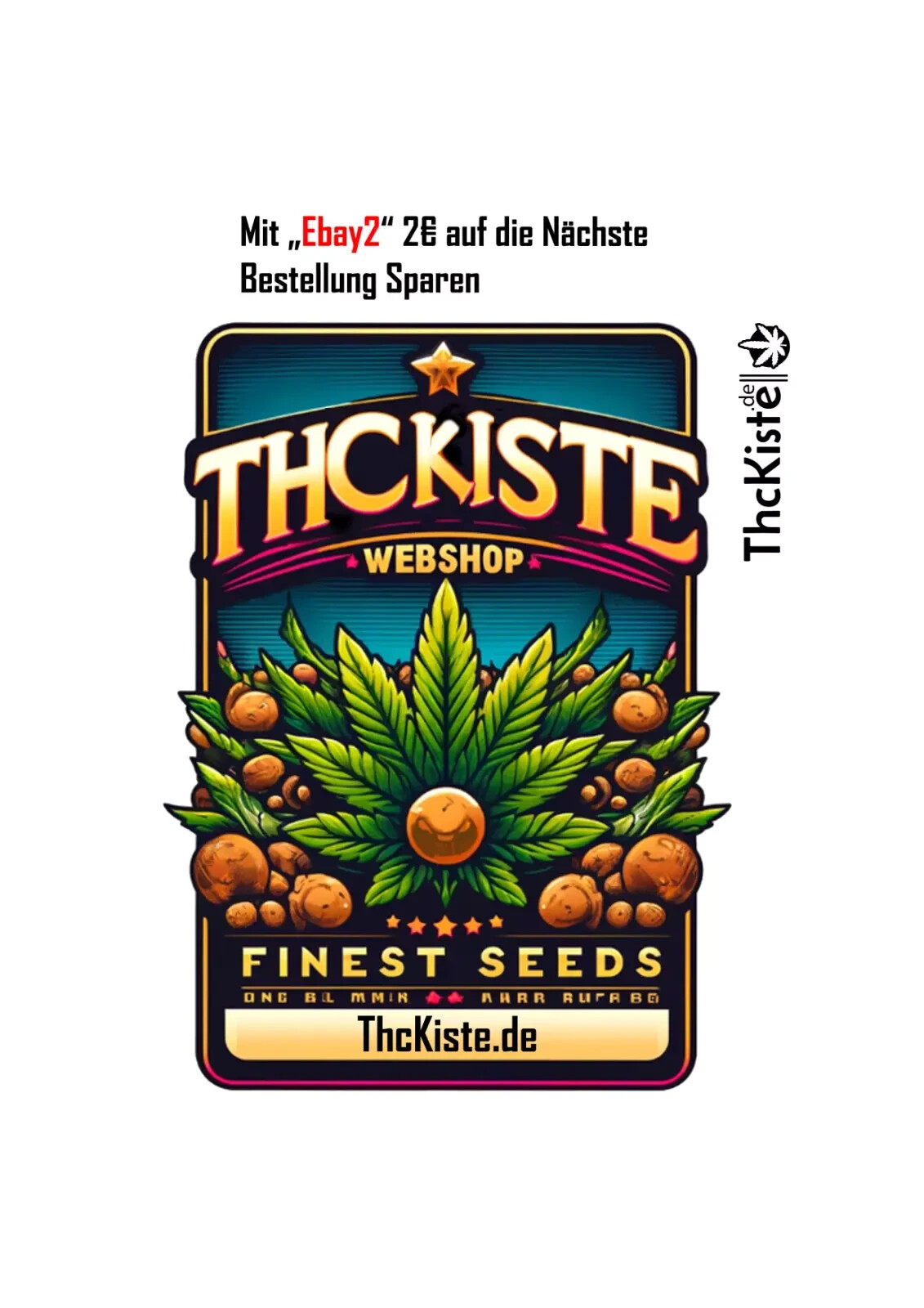 Technics EAH-F70 - Kabellos Bluetooth Hifi Overear Kopfhörer Schwarz- F 70 NE K – Bild 3