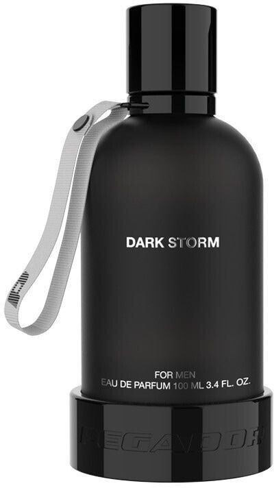 Pegador DARK STORM Eau De Parfum For Men 100ml 3.4 FL.OZ NEU